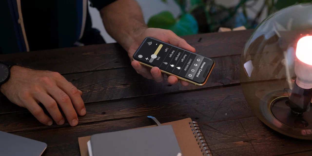 Rôle de l’optimisation mobile pour les entreprises de commerce électronique en France